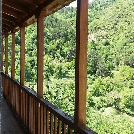 Antoniou Guesthouse Kastanitsa Extérieur photo